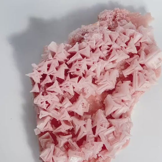 Pink Halite Large Specimen| Self Collected Crystal - Searles Lake