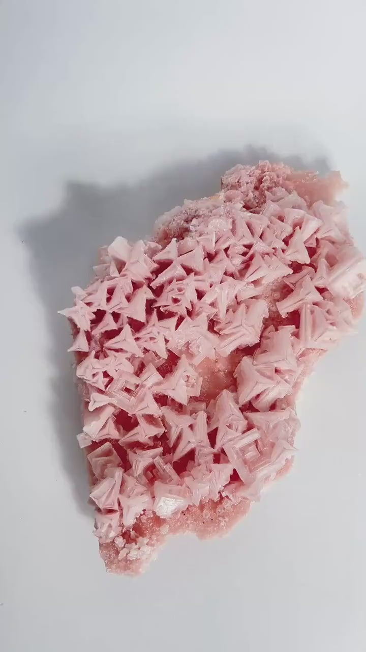 Pink Halite Large Specimen| Self Collected Crystal - Searles Lake
