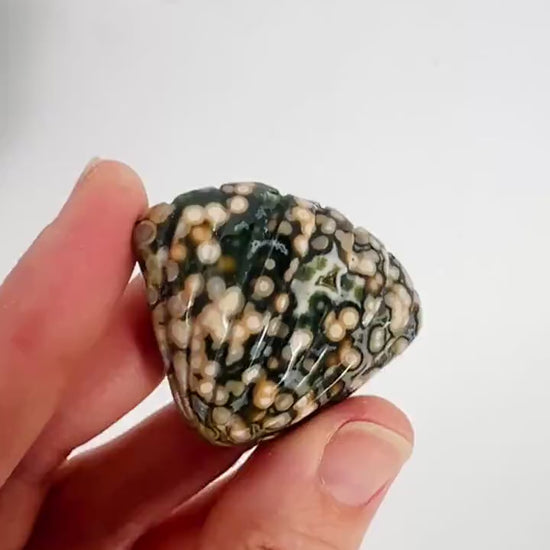 Old Stock Ocean Jasper Carved Sea Shell