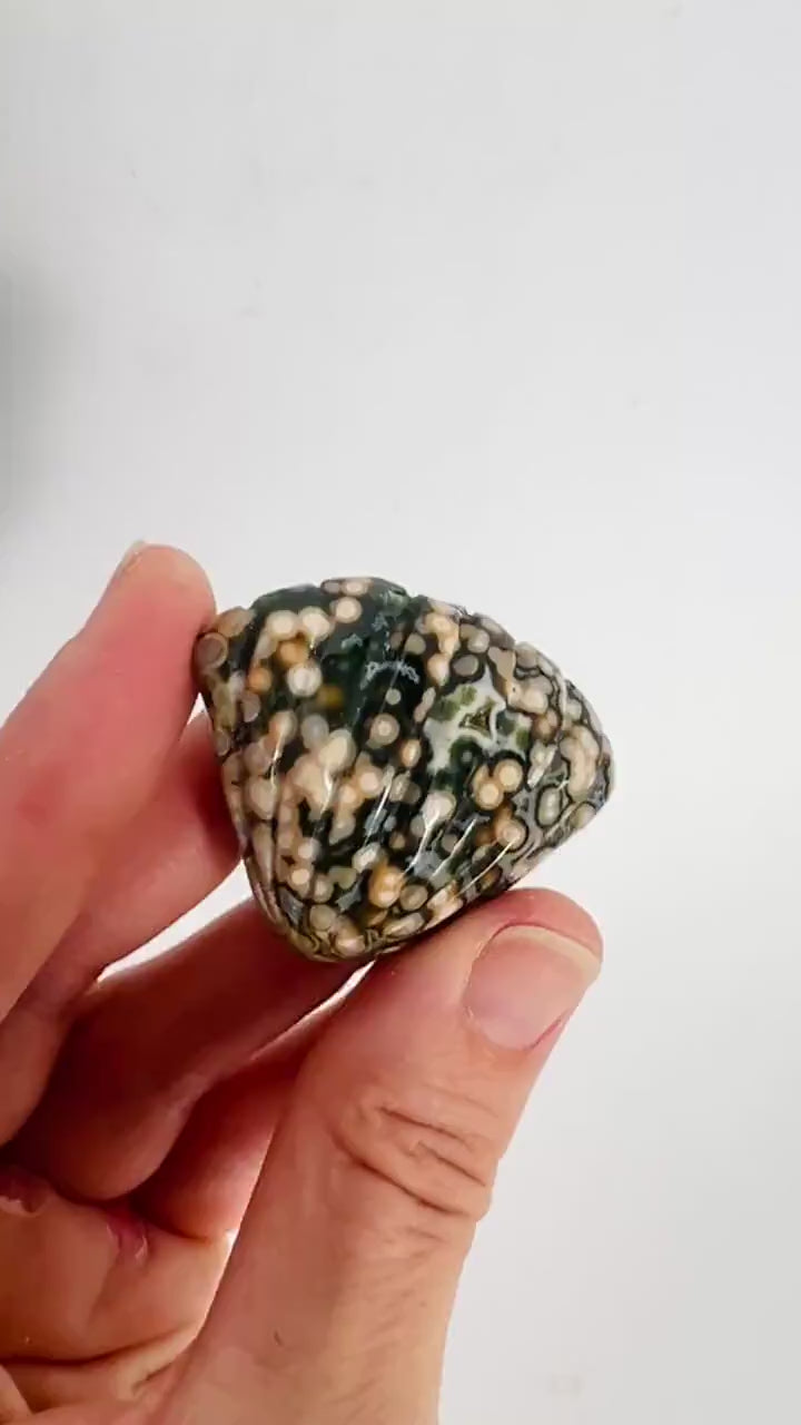 Old Stock Ocean Jasper Carved Sea Shell