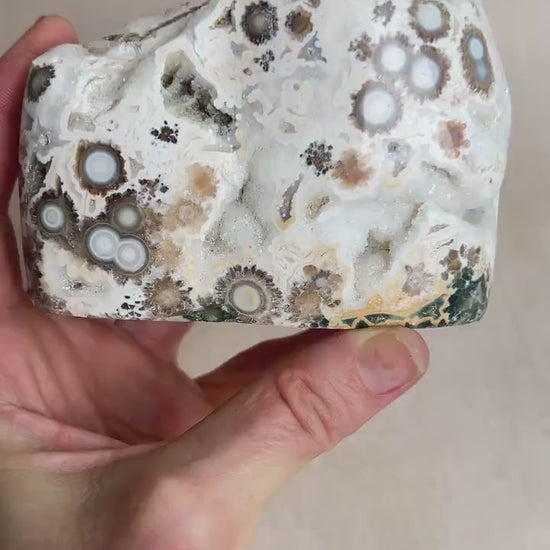 Ocean Jasper Old Stock : Vein 1-2 Large Druzy Free Form