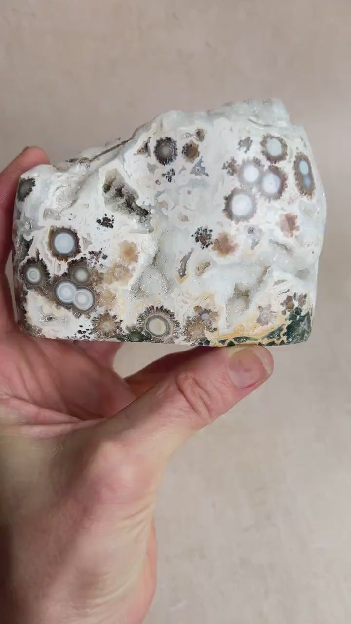 Ocean Jasper Old Stock : Vein 1-2 Large Druzy Free Form