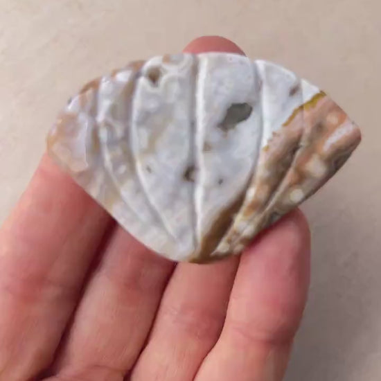 Rare Ocean Jasper Sea Shell  Carving: Crystal Shell Beach Decor
