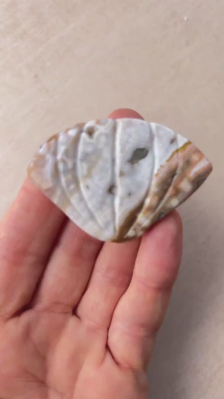 Rare Ocean Jasper Sea Shell  Carving: Crystal Shell Beach Decor
