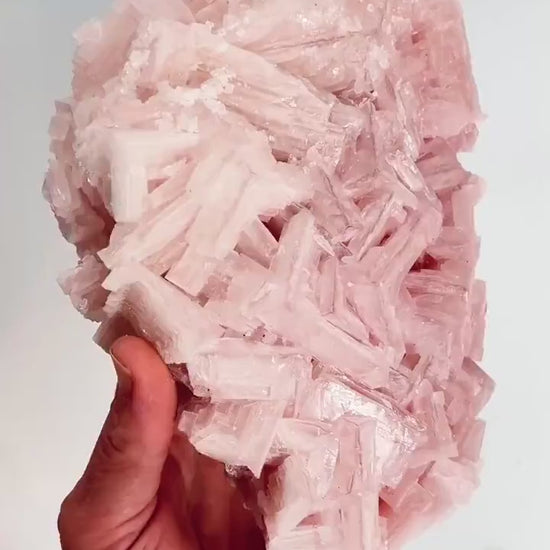 Hand Collected Bubblegum Pink XL Halite Crystal | Hopper Formation from Searles Lake CA
