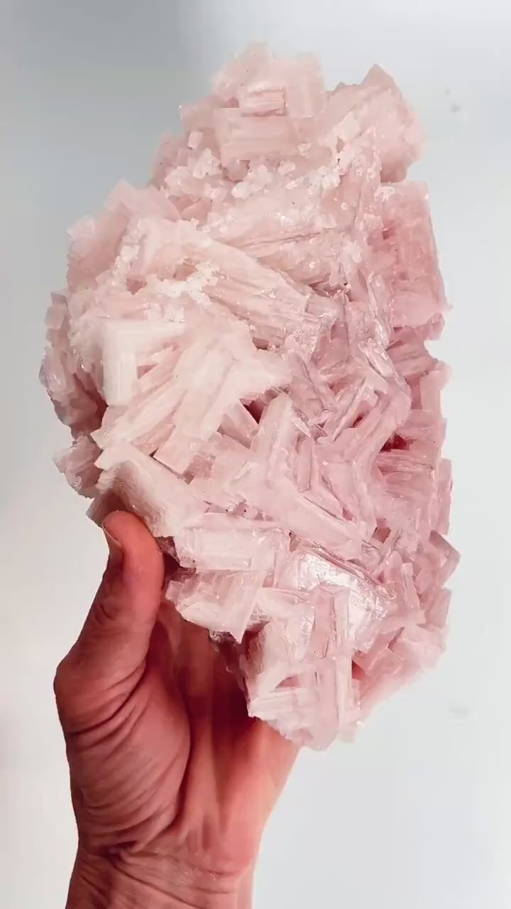 Hand Collected Bubblegum Pink XL Halite Crystal | Hopper Formation from Searles Lake CA
