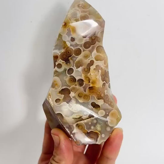 Incredible Ocean Jasper Fish Eye Orb Flame Free Form | Collector Vein 3-4