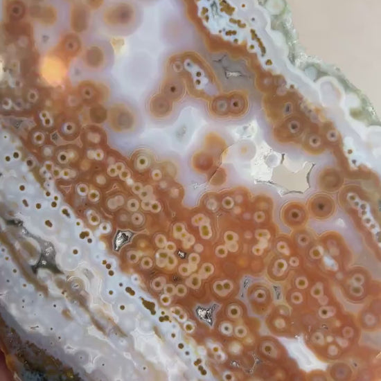 Ocean Jasper Polished Slab: Vein 3-4 Jelly Orbs