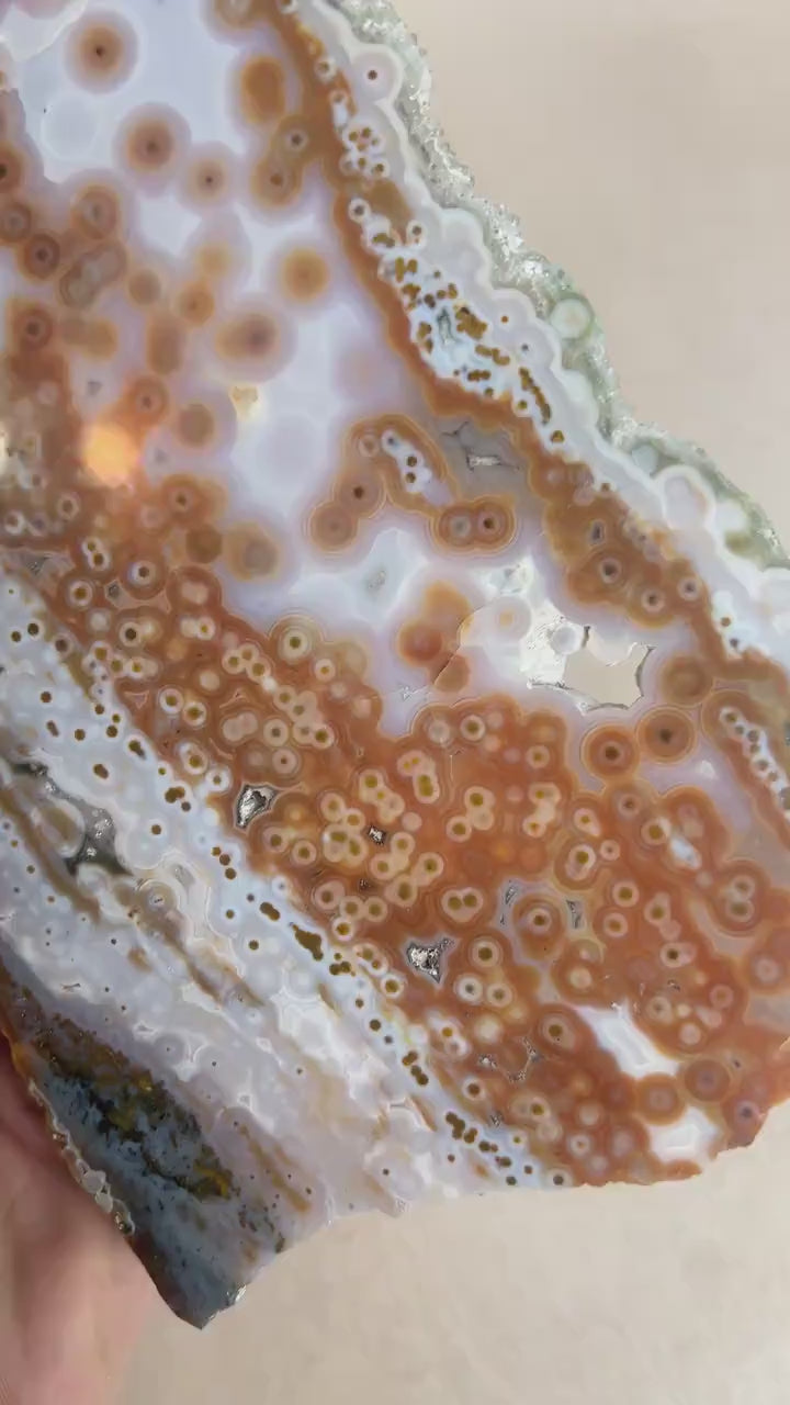 Ocean Jasper Polished Slab: Vein 3-4 Jelly Orbs
