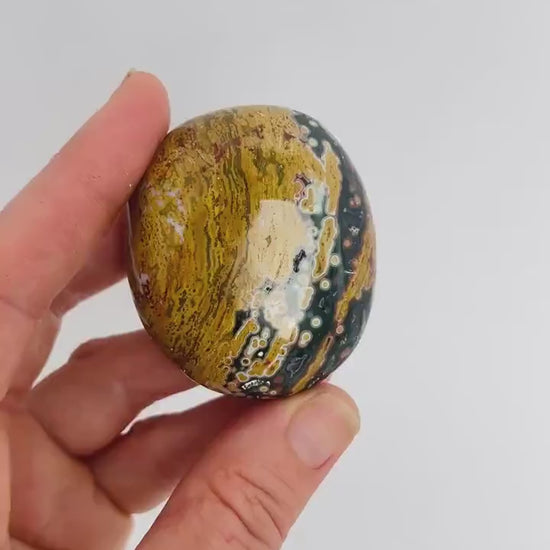 Marovato Ocean Jasper Palm Stone - Veinless Orbicular Jasper from Madagascar