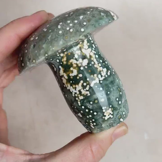 Hand Carved Ocean Jasper Mushroom: Veinless Green Druze