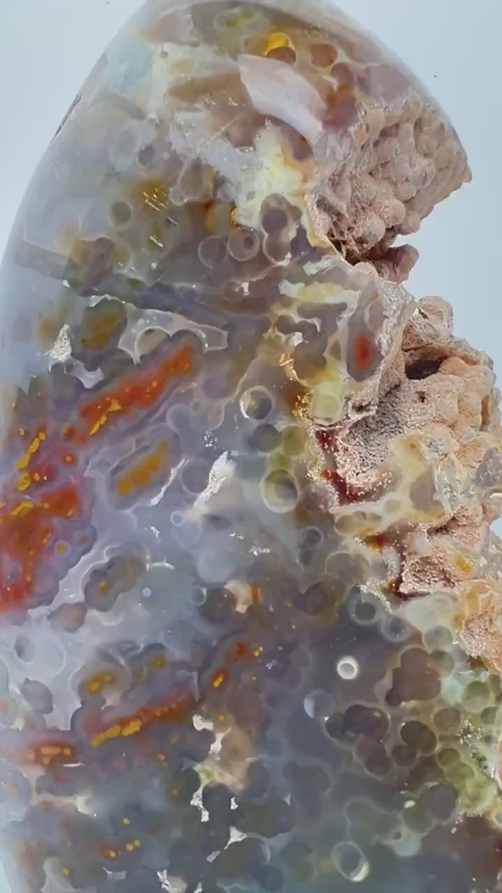 Rare Ocean Jasper Jelly Free Form  – Large One-of-a-Kind with Botryoidal Orbs