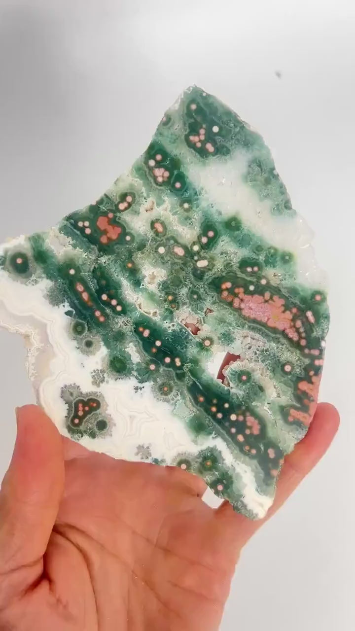 Ocean Jasper Slab : Early Vein 1-2 Old Stock Flower Orbs