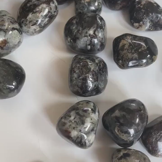 Astrophyllite Tumbled Crystals in Matrix