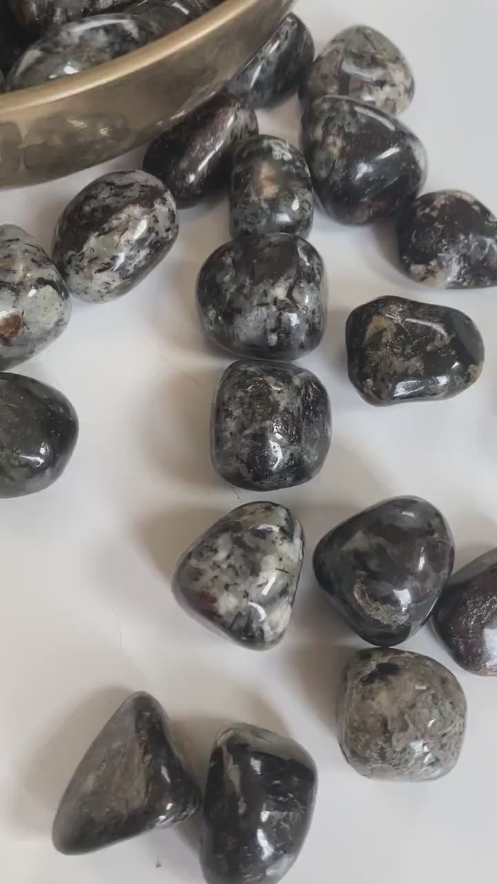 Astrophyllite Tumbled Crystals in Matrix
