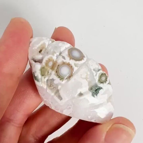 Old Stock Ocean Jasper Carved Sea Shell | Vein 1-2