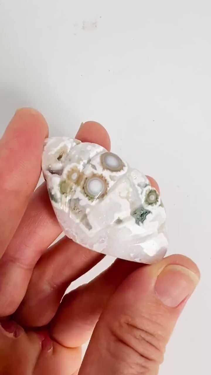 Old Stock Ocean Jasper Carved Sea Shell | Vein 1-2