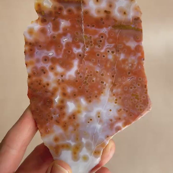 Jelly Ocean Jasper Vein 3 - 4 Rare Red Slab / High Translucency