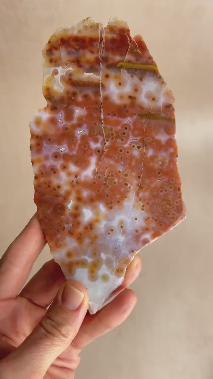 Jelly Ocean Jasper Vein 3 - 4 Rare Red Slab / High Translucency