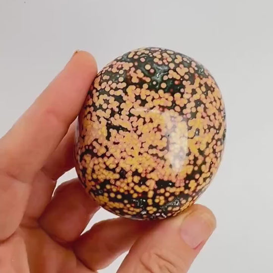 Marovato Ocean Jasper Palm Stone - Veinless Orbicular Jasper Crystal from Madagascar