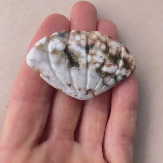 Rare Ocean Jasper Sea Shell  Carving: Crystal Shell Beach Decor