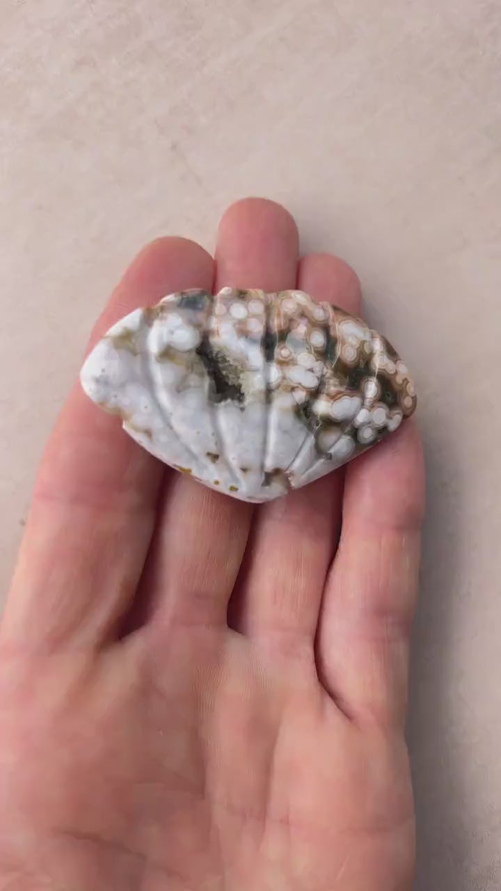 Rare Ocean Jasper Sea Shell  Carving: Crystal Shell Beach Decor