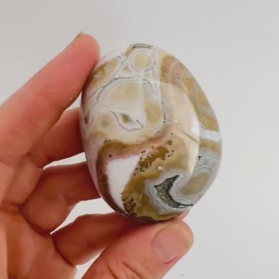 Marovato Ocean Jasper Palm Stone - Vein 8 Orbicular Jasper Crystal from Madagascar