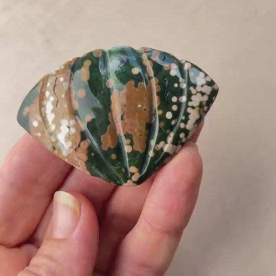 Rare Ocean Jasper Sea Shell Carving: Earthy Boho Beach Decor Specimen