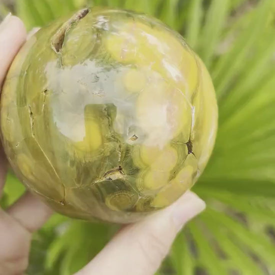 Kabamby Ocean Jasper Sphere / OJU25