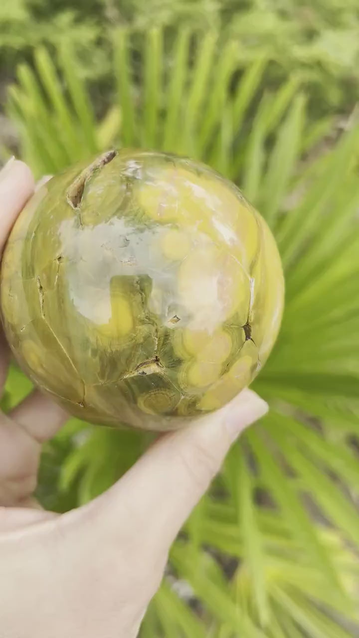 Kabamby Ocean Jasper Sphere / OJU25