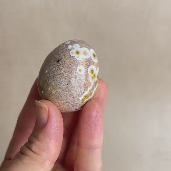Polished Ocean Jasper Egg – Natural Healing Crystal Decor (43 mm)