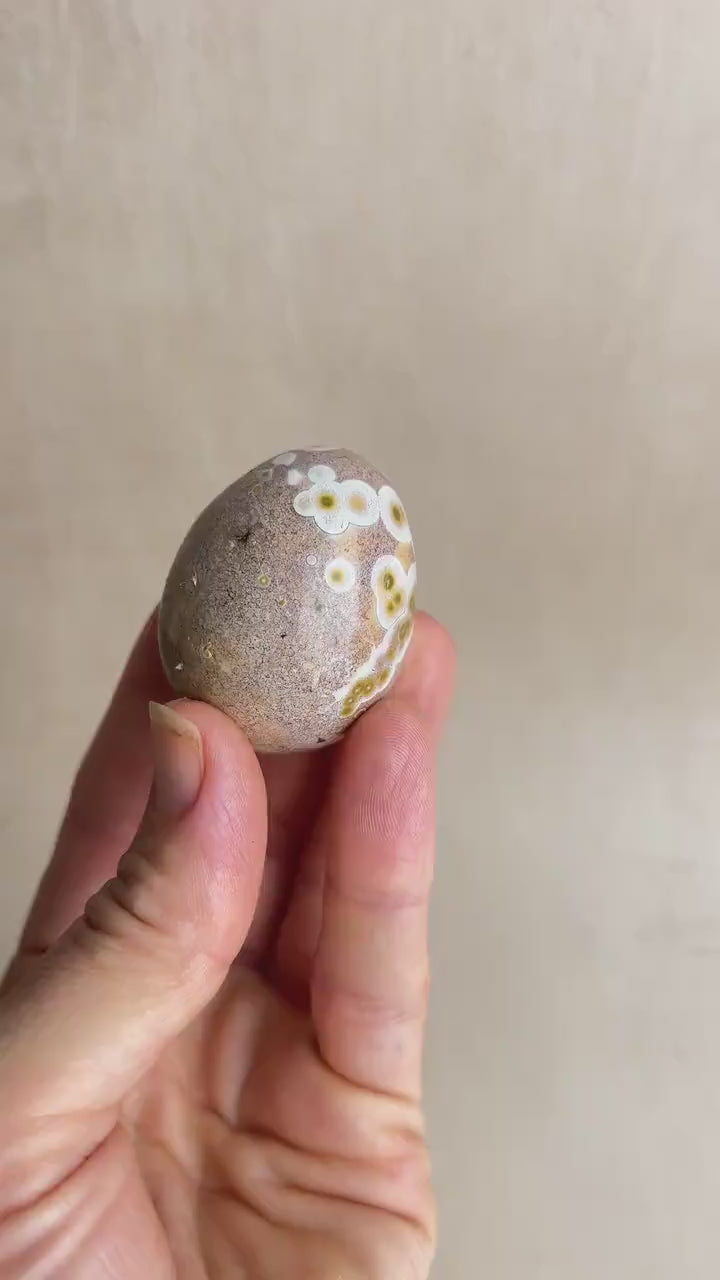 Polished Ocean Jasper Egg – Natural Healing Crystal Decor (43 mm)