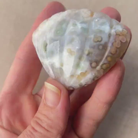 Rare Ocean Jasper XL Seashell Carving: Crystal Seashell Decor - Vein 1-2