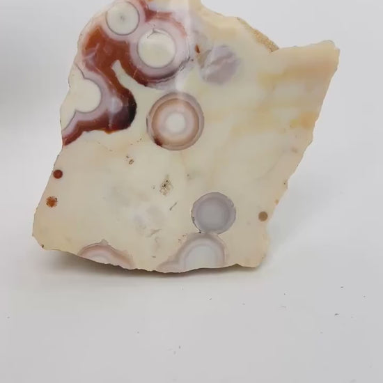 Ocean Jasper Vein 1-2 Rare Collector Semi Polished Piece