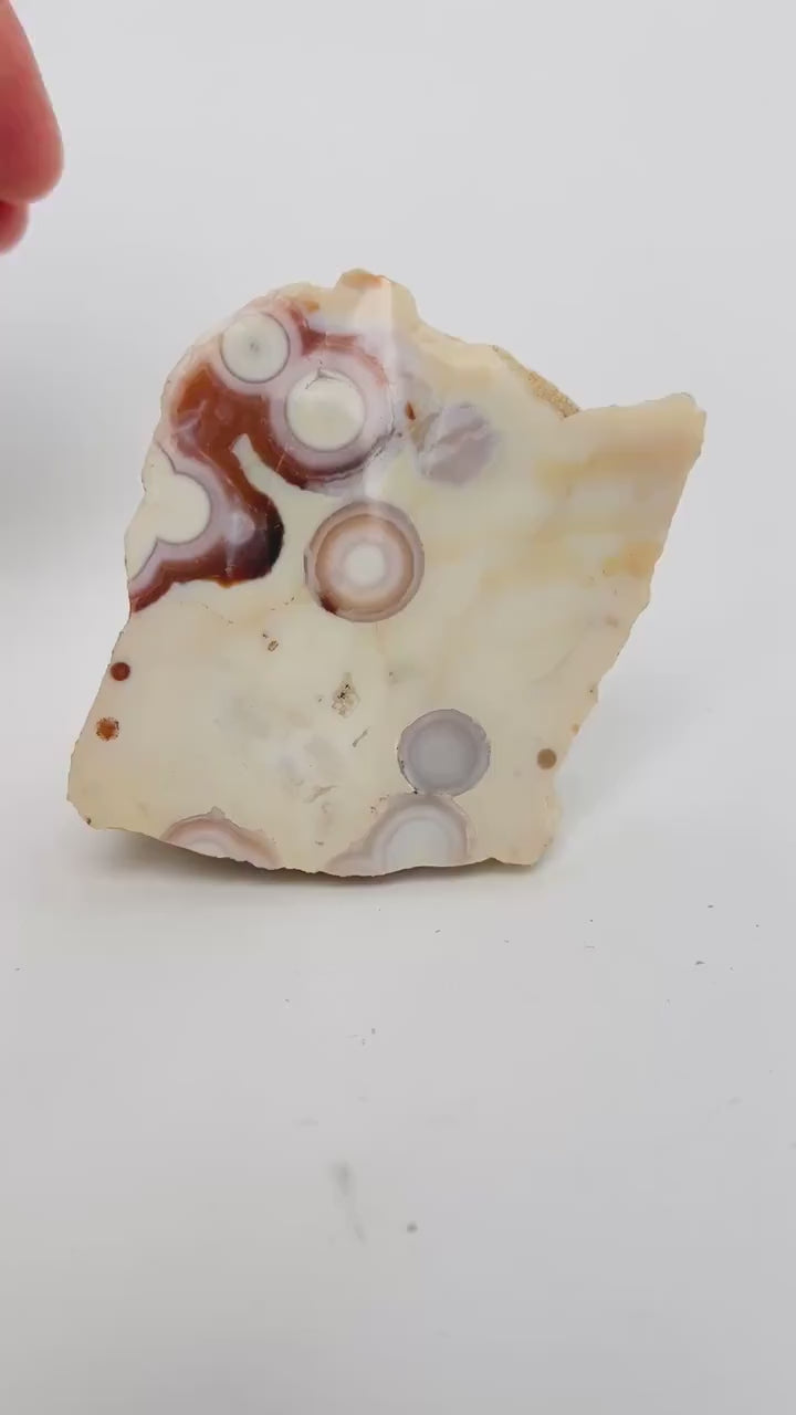 Ocean Jasper Vein 1-2 Rare Collector Semi Polished Piece