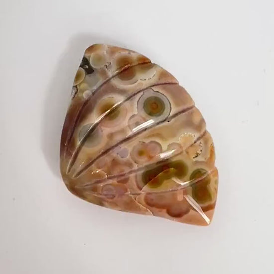 Old Stock Ocean Jasper Carved Sea Shell Brown with Bullseye Orbs