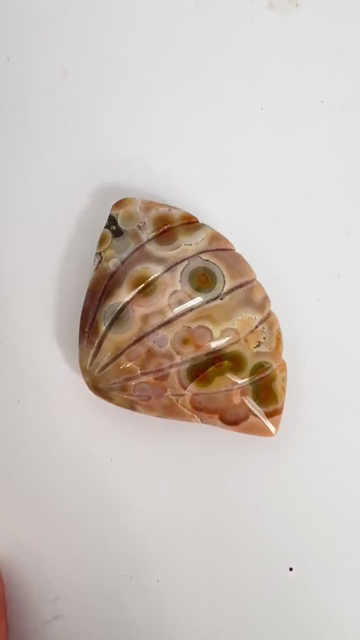 Old Stock Ocean Jasper Carved Sea Shell Brown with Bullseye Orbs