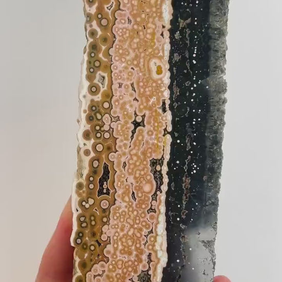 Ocean Jasper Marovato Slab : Semi Polished