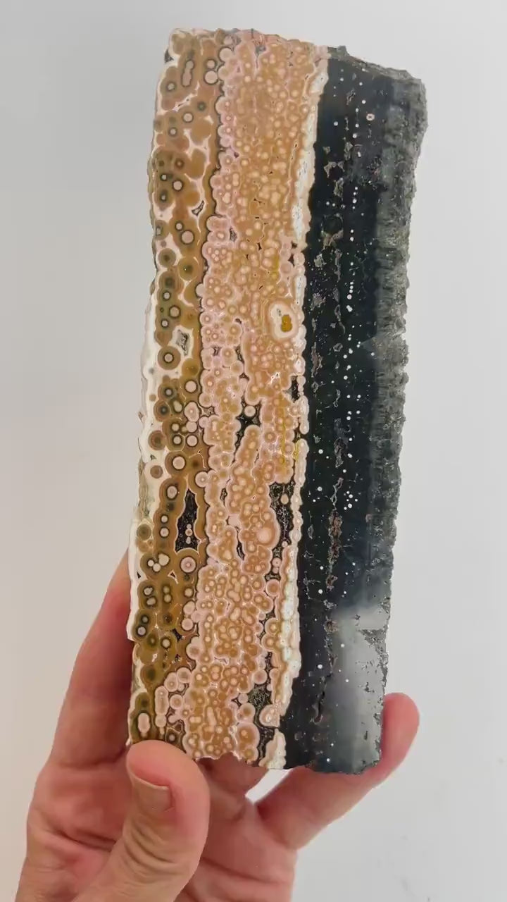 Ocean Jasper Marovato Slab : Semi Polished